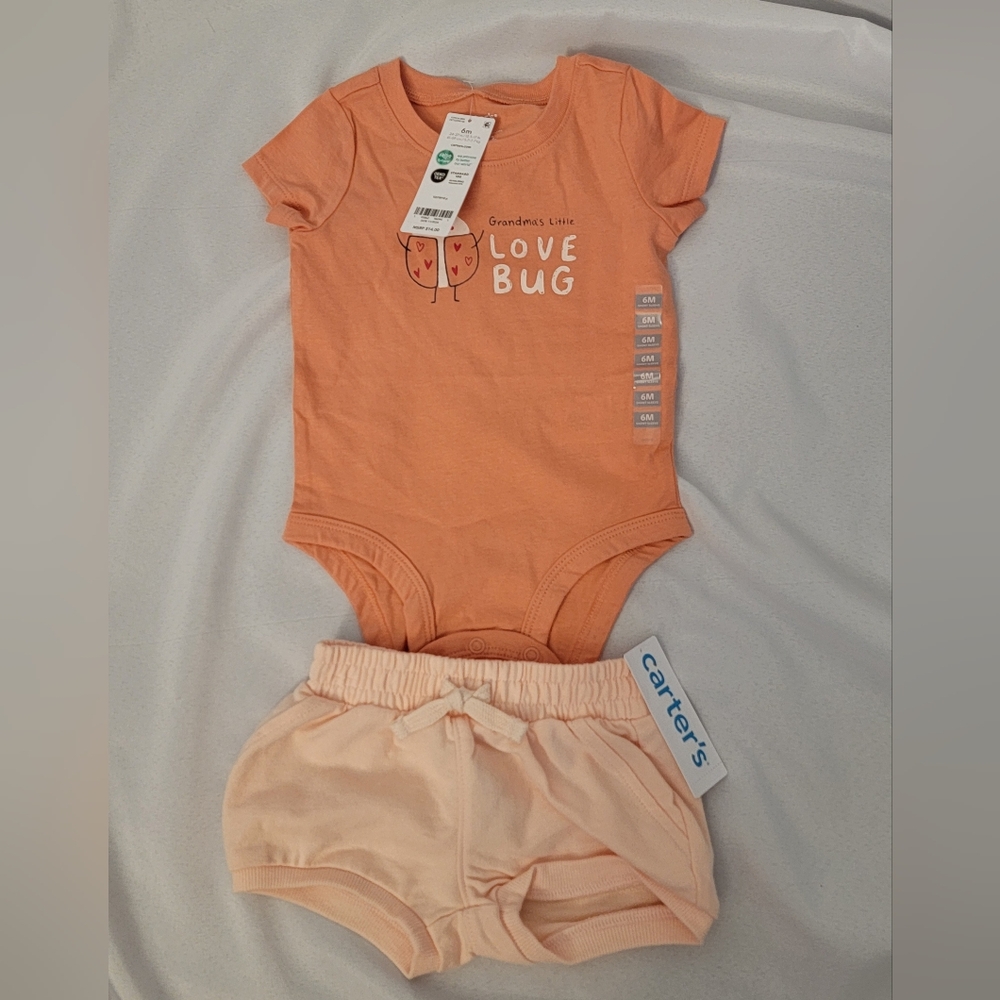 NWT Carter's Love Bug Shorts Set Size 6 Months